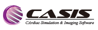 Casis logo